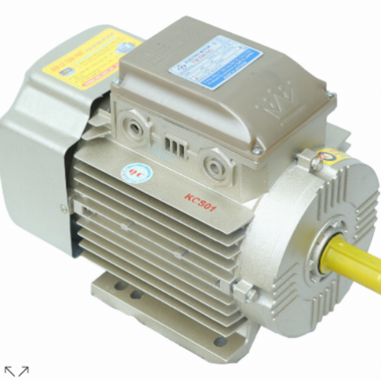 Mô tơ TP-VIỆT HUNG 3,5 Kw/1 pha (1500v/p)